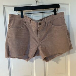 Carve designs Oahu short size 12